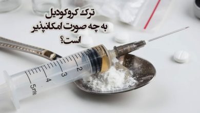 ترک کروکودیل