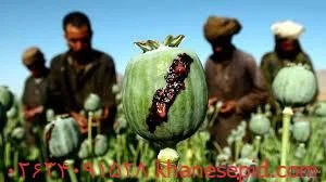 ترک تریاک