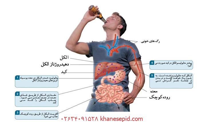 تاثیر مصرف الکل بر بدن