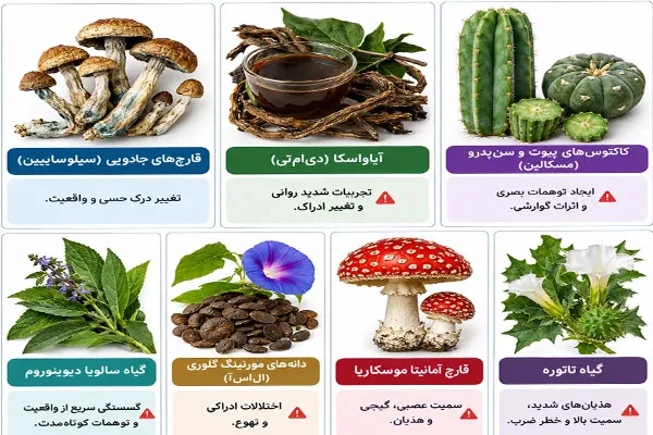 مواد-توهم-زا مواد توهم زا