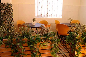 خانه-سپید کرج لابی کرج